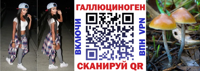 Псилоцибиновые грибы Magic Shrooms  Купить  Славянск-на-Кубани 